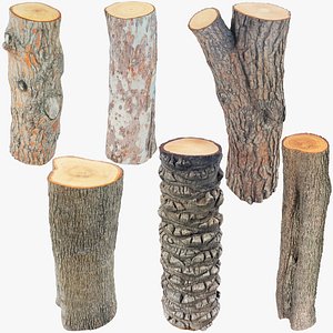Logs Collection V7 3D model