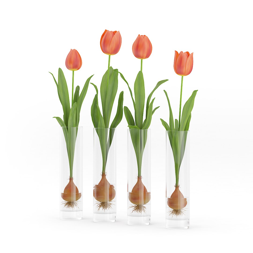 tulips glasses max https://p.turbosquid.com/ts-thumb/Jf/1qes85/0cYMGXo4/cgaxis_models_63_04b/jpg/1452969555/1920x1080/fit_q87/e918f27a385564b13ba249435bf4211827f0ac13/cgaxis_models_63_04b.jpg