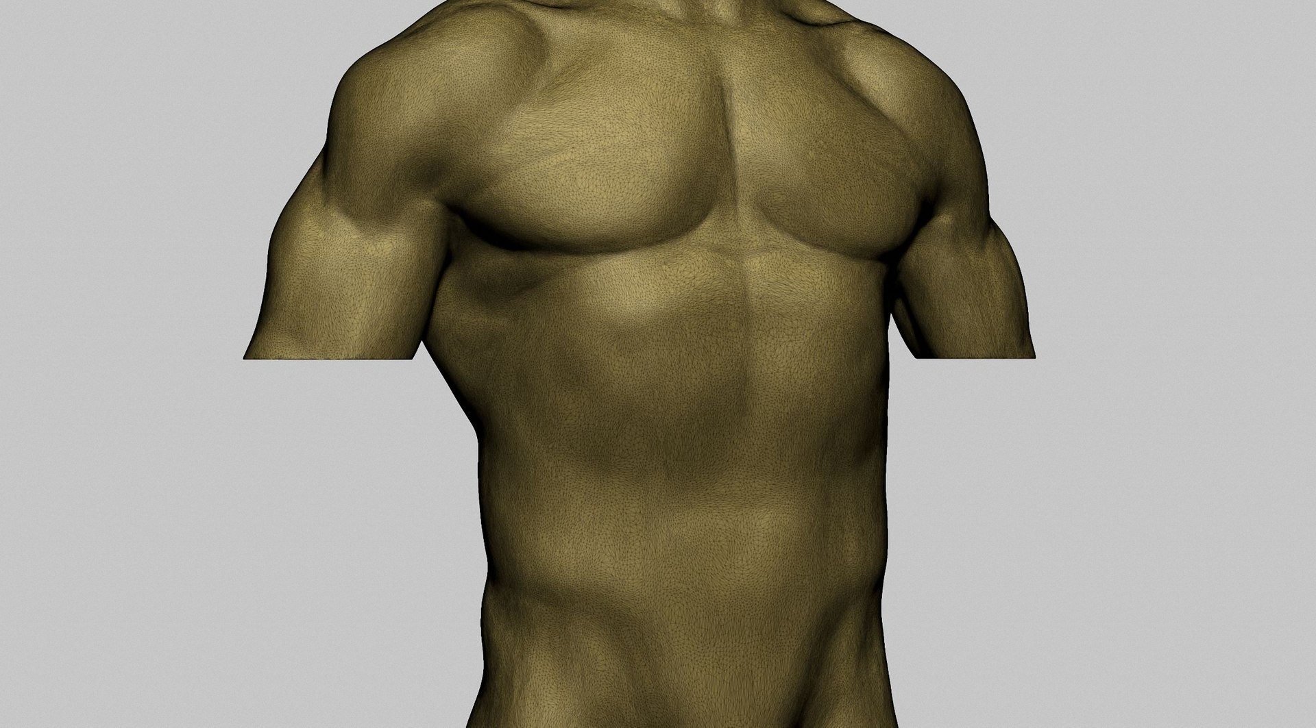 Male Torso A 3D Model - TurboSquid 1892002