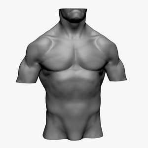 Male Torso A 3D model