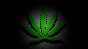 pot leaf 3ds free