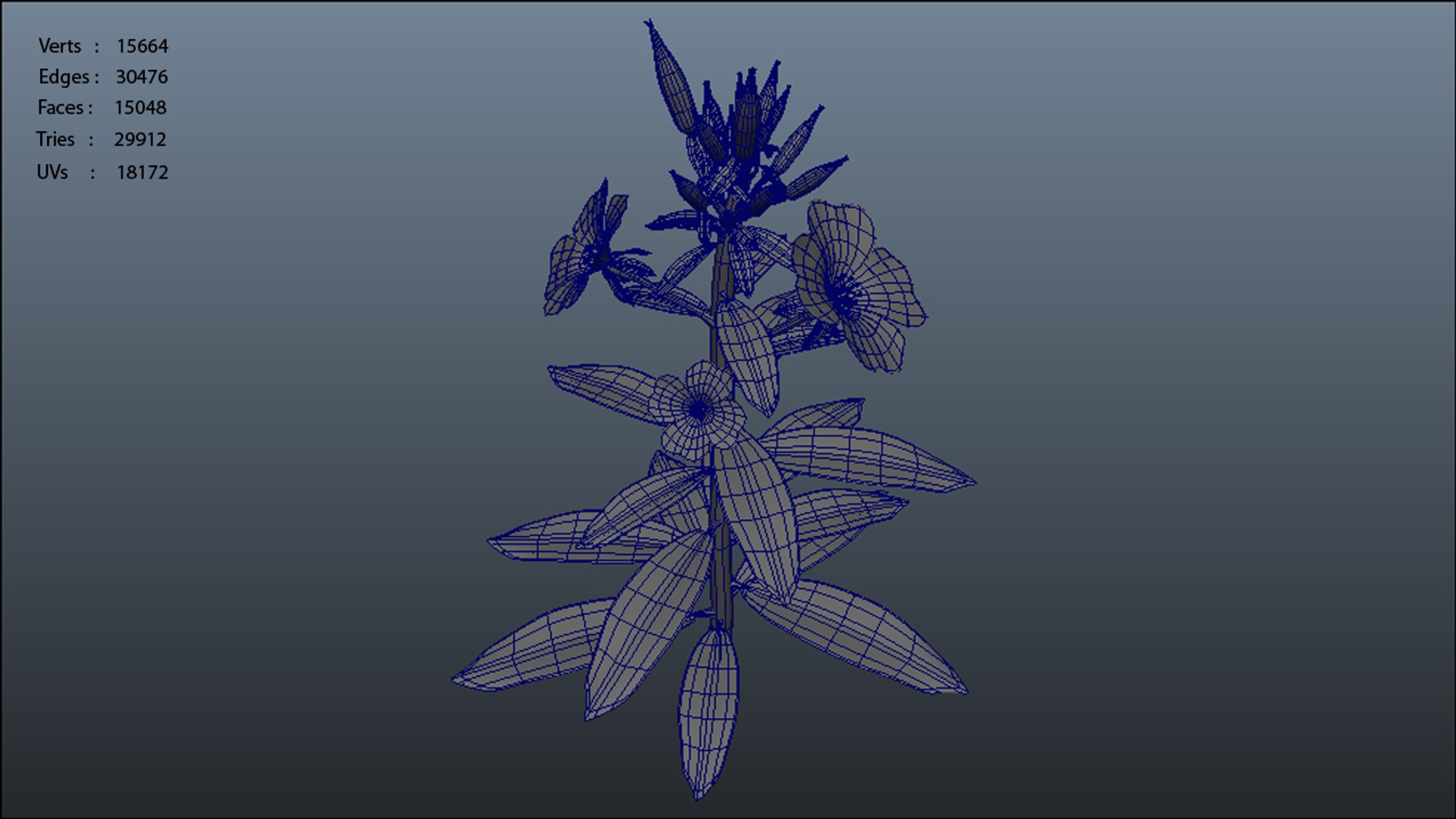 oenothera flowering plants obj https://p.turbosquid.com/ts-thumb/Jf/3JVFxZ/I1zG9NtT/oenothera_polycount/jpg/1390803412/1920x1080/fit_q87/69d8a0ae1b3d021c72e6df3a840dda88ea81c597/oenothera_polycount.jpg