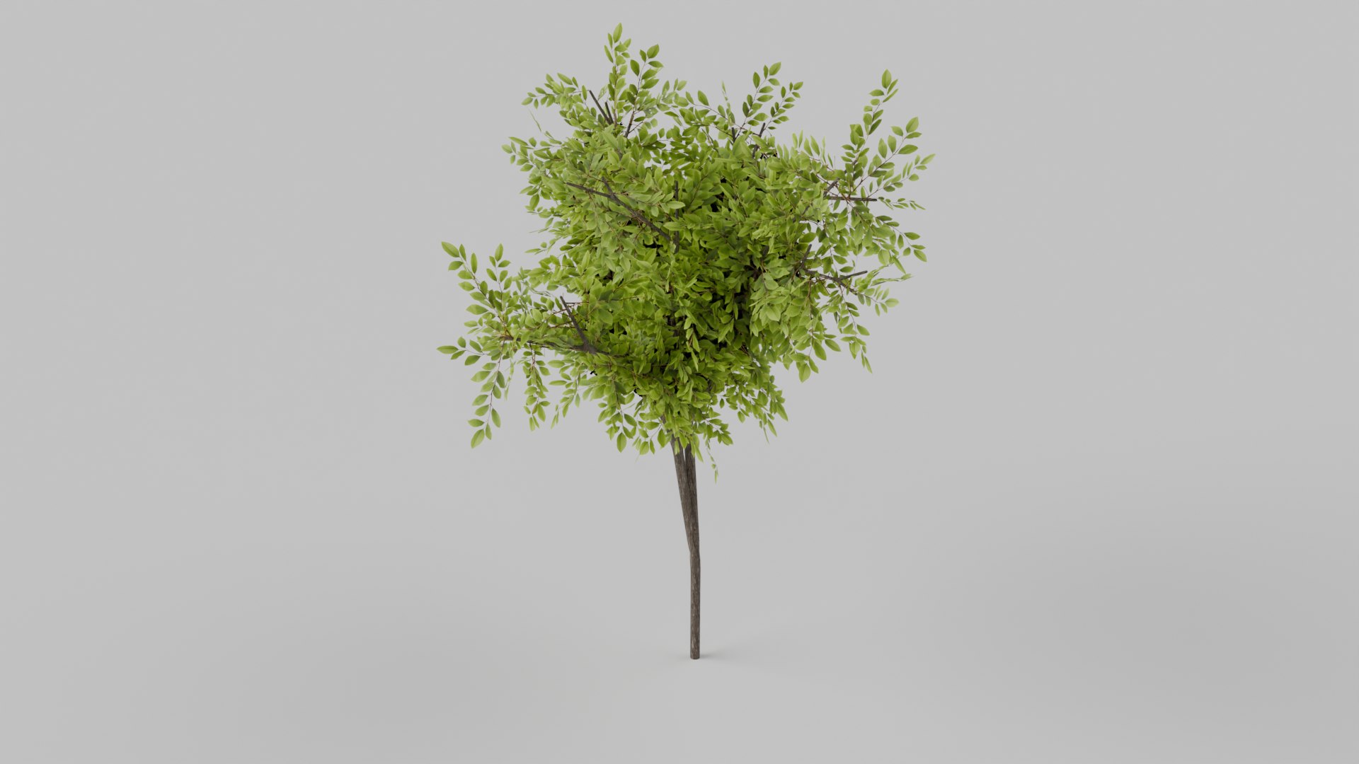 Tree 3D - TurboSquid 2377144