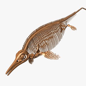 ichthyosaurus skeleton 3D