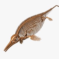 ichthyosaurus skeleton