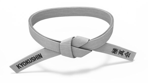 Kyokushin ceinture hotsell