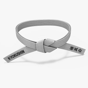 Obi Kyokushin Waist Belt White