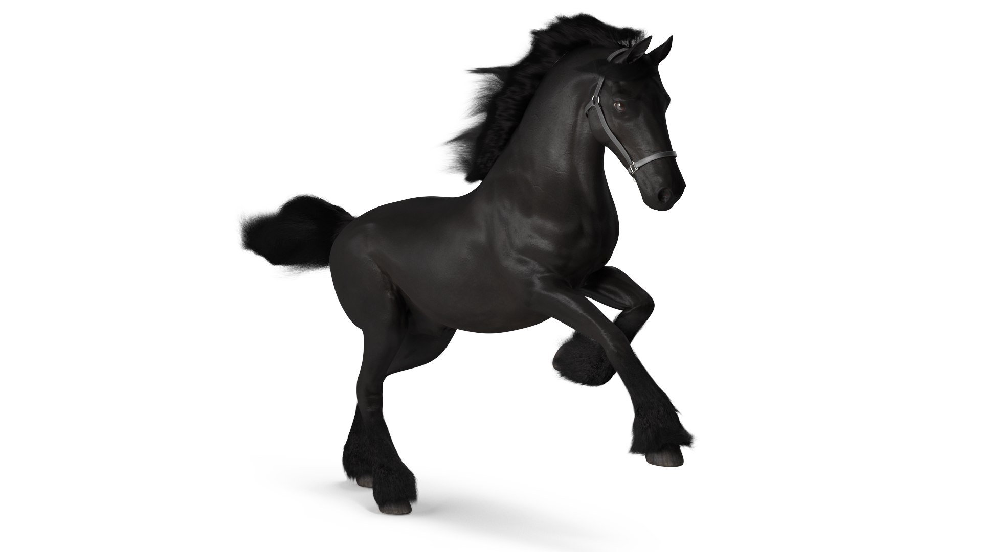 Running Friesian Horse Fur 3D model preview
