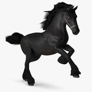 Running Friesian Horse Fur 3D model