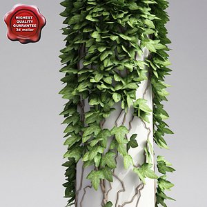Column with ivy V2
