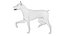 Doberman Rigged L620