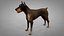 Doberman Rigged L620