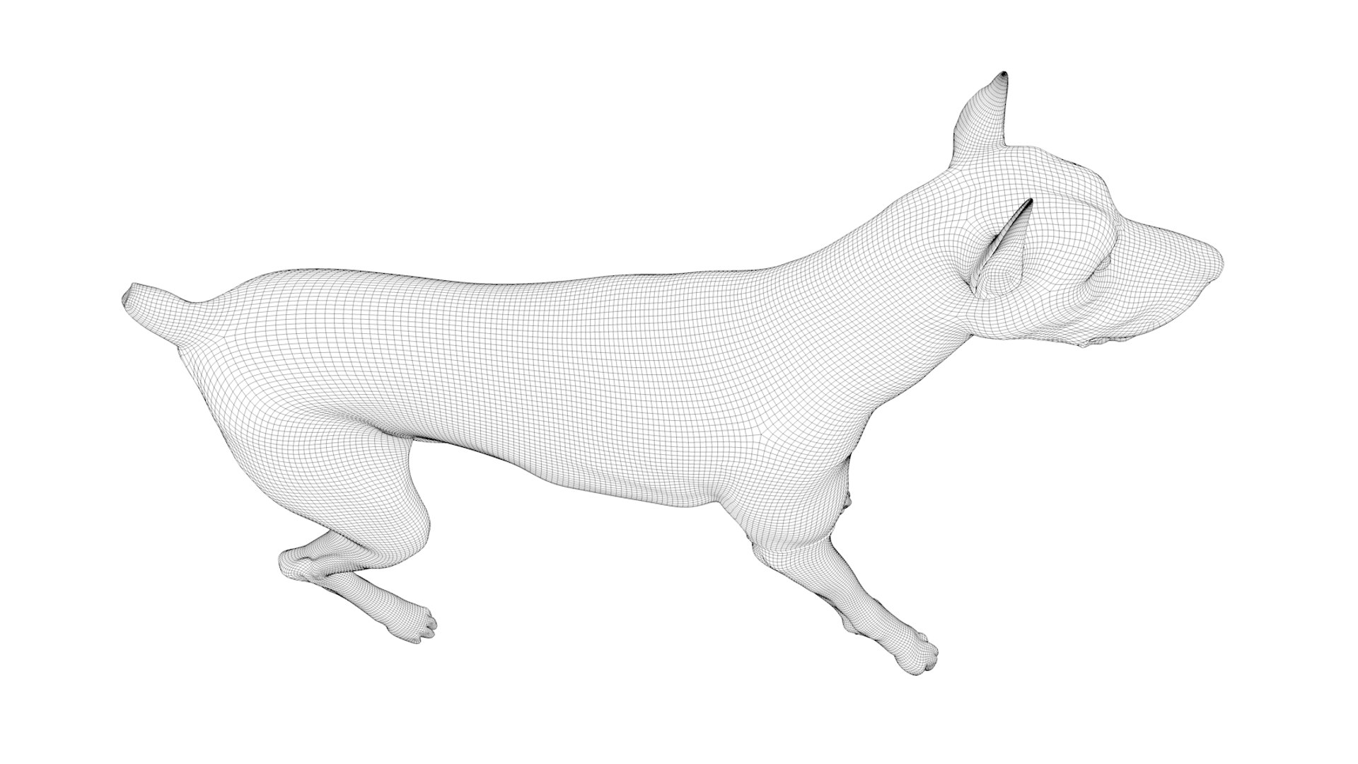 doberman rigged l620 animate 3D model https://p.turbosquid.com/ts-thumb/Jf/sKstWX/5nBSk5dA/74/png/1584059771/1920x1080/fit_q87/6a4e6dd320b623d5da5838e58143101c0fcc4025/74.jpg