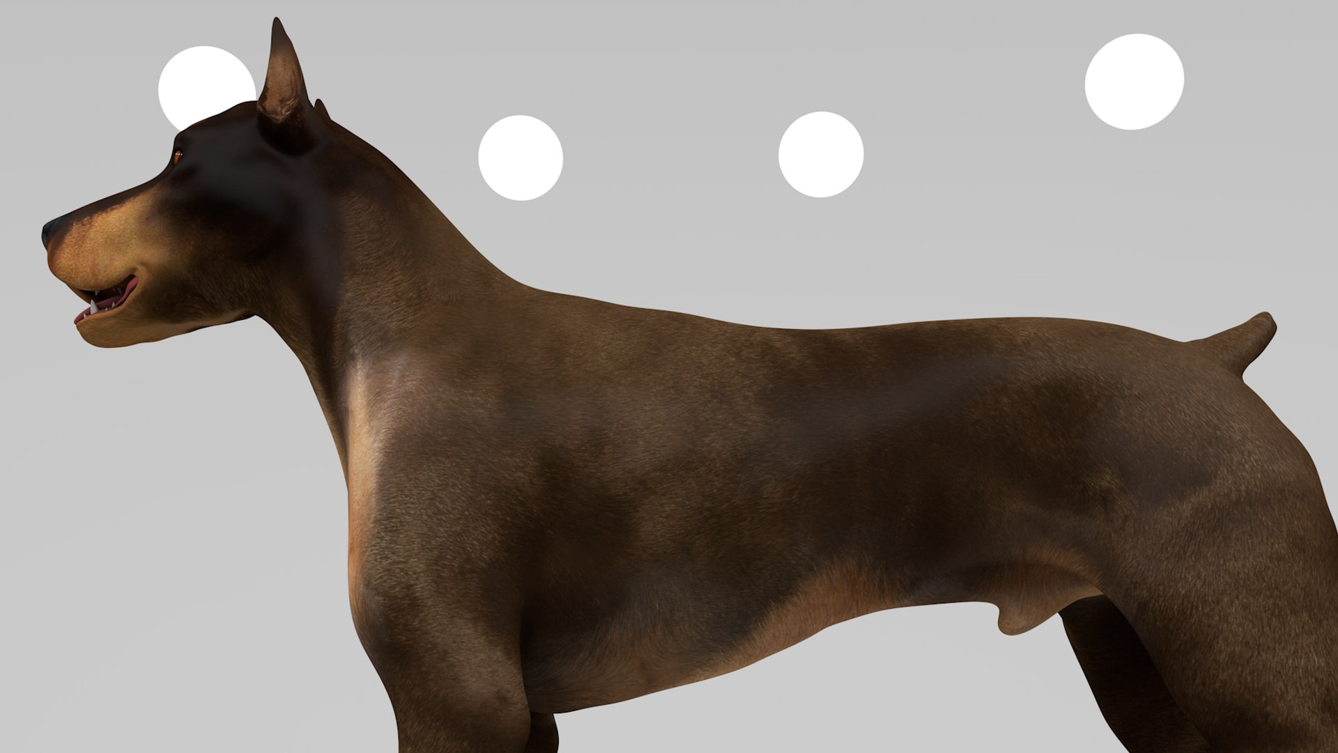 doberman rigged l620 animate 3D model https://p.turbosquid.com/ts-thumb/Jf/sKstWX/6AvqE1Ks/7/png/1584403182/1920x1080/fit_q87/737cc9e7714f2a92e0aa807f2b5bc10cd695af5f/7.jpg