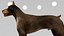 Doberman Rigged L620