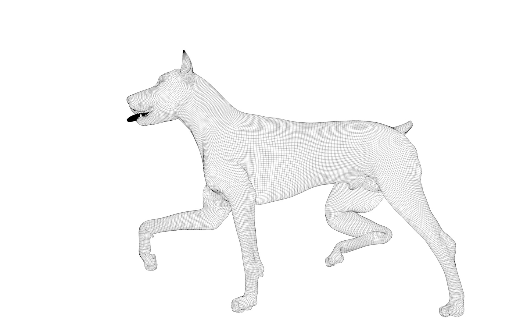 doberman rigged l620 animate 3D model https://p.turbosquid.com/ts-thumb/Jf/sKstWX/6f0d58bx/z/jpg/1584067687/1920x1080/turn_fit_q99/f03ca2b7a561a6d9548a0cb51ba085d0b11458ec/z-1.jpg