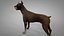 Doberman Rigged L620