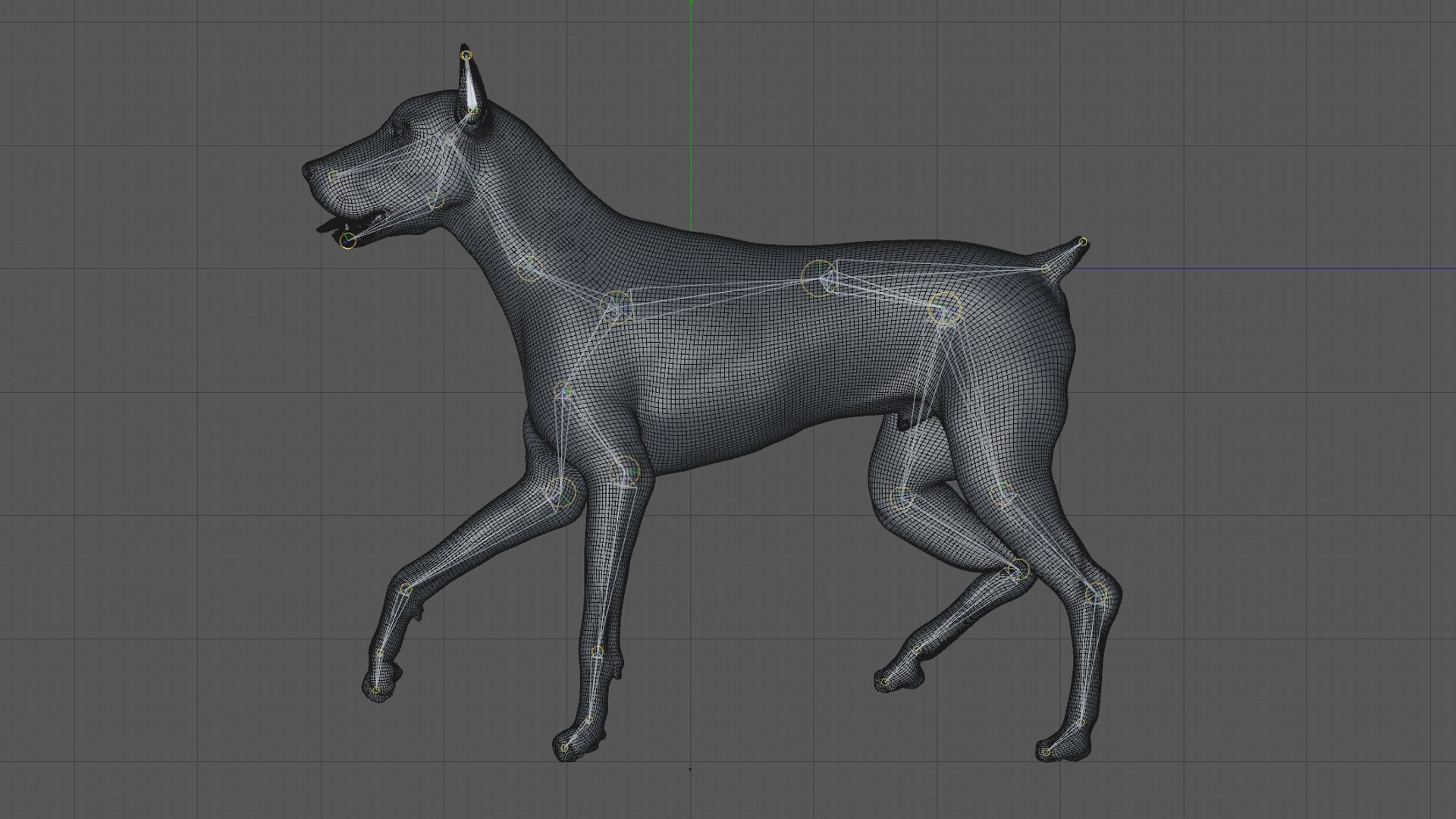 doberman rigged l620 animate 3D model https://p.turbosquid.com/ts-thumb/Jf/sKstWX/DrxrLbgm/51/png/1584059770/1920x1080/fit_q87/83b889568df0e7bcf7153403663f9e1e16e1afe8/51.jpg