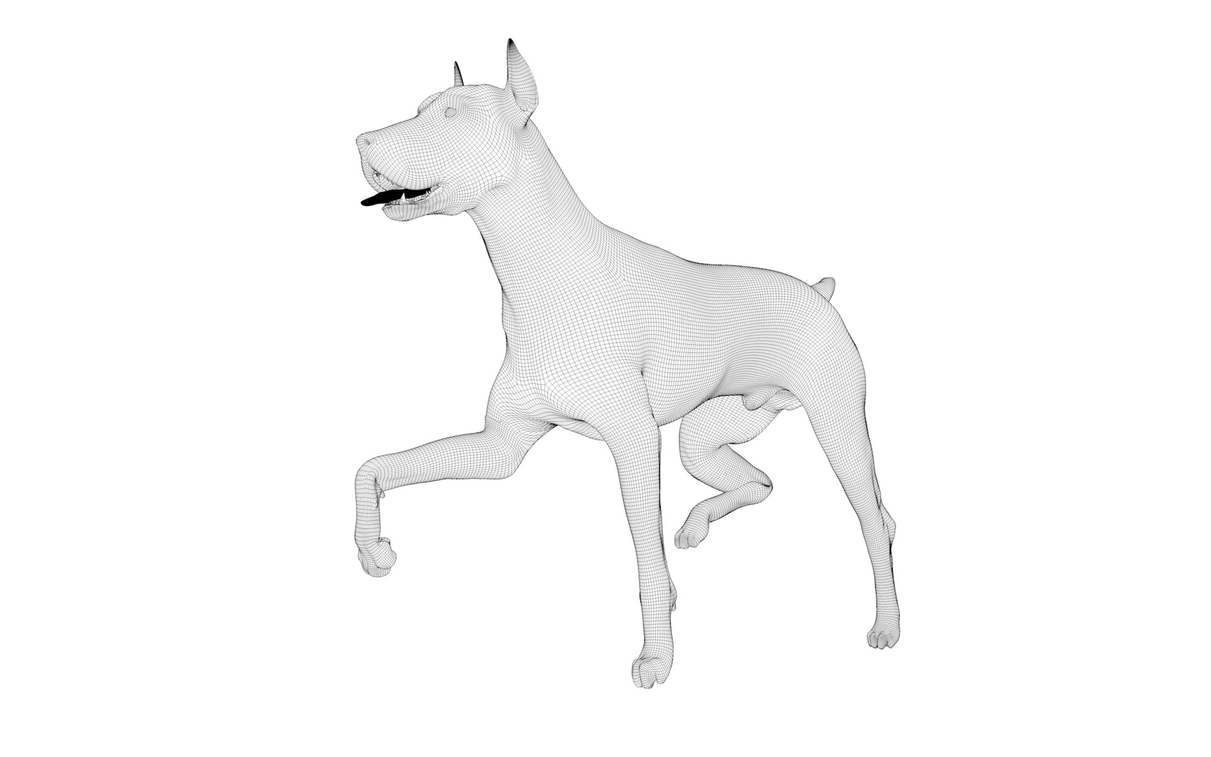 doberman rigged l620 animate 3D model https://p.turbosquid.com/ts-thumb/Jf/sKstWX/GgNZofhX/z/jpg/1584067179/1920x1080/turn_fit_q99/1a21eae470574548dcf515a03346028bd309b9df/z-1.jpg