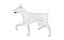 Doberman Rigged L620