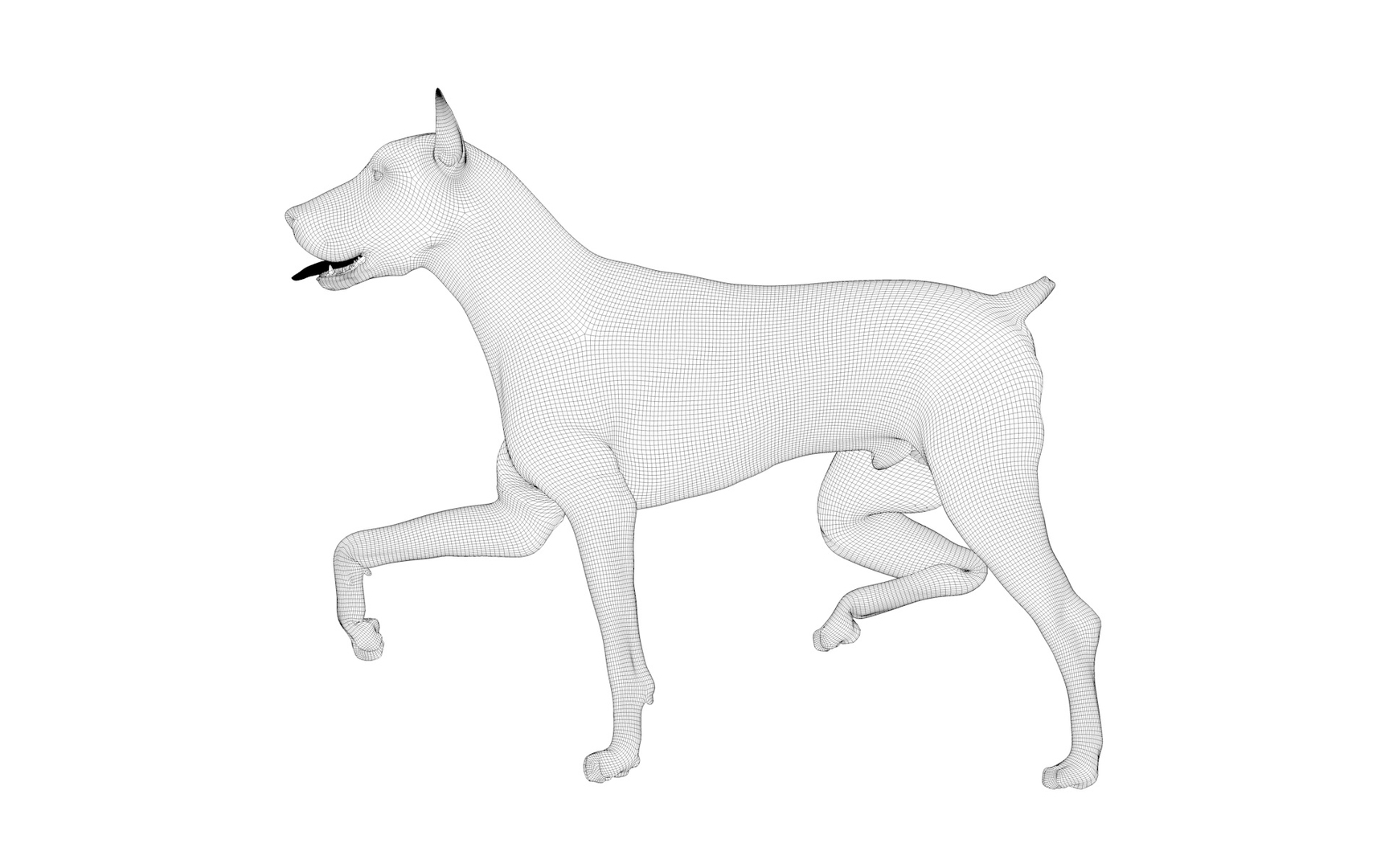 doberman rigged l620 animate 3D model https://p.turbosquid.com/ts-thumb/Jf/sKstWX/H9JPzhyZ/z/jpg/1584066678/1920x1080/turn_fit_q99/e79a4268ca50a5c2d96d16778efc6d918370bcbf/z-1.jpg