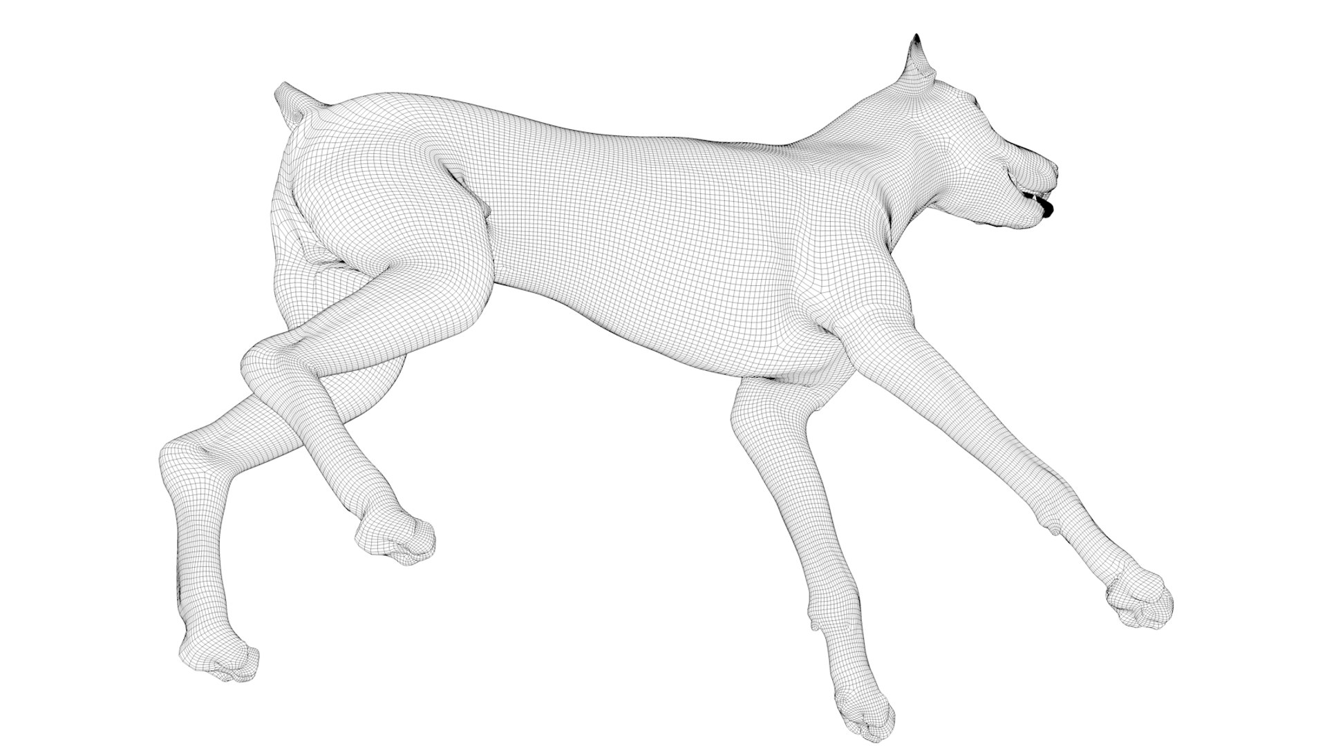 doberman rigged l620 animate 3D model https://p.turbosquid.com/ts-thumb/Jf/sKstWX/HZcUtg8A/78/png/1584059771/1920x1080/fit_q87/503cf2522825972f78dc68e4880700722baa235d/78.jpg