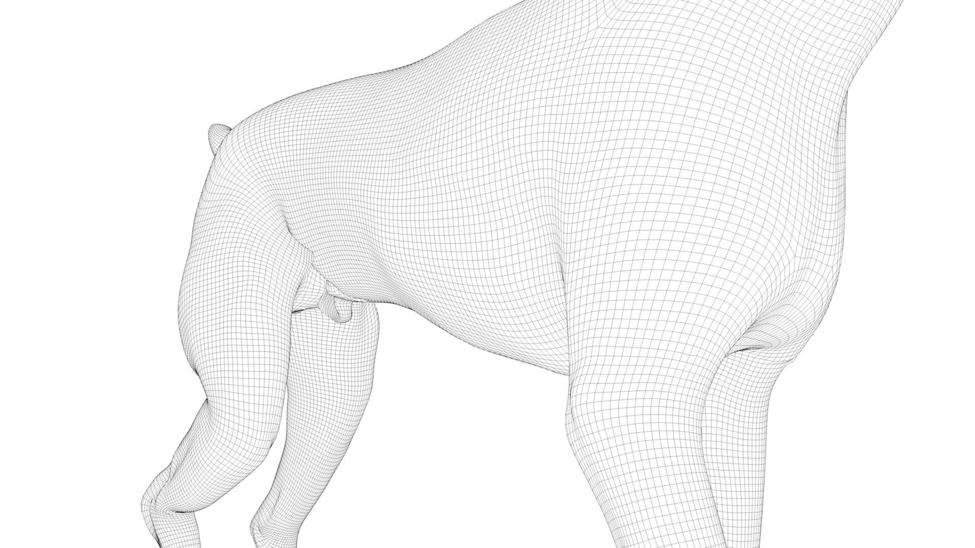 doberman rigged l620 animate 3D model https://p.turbosquid.com/ts-thumb/Jf/sKstWX/Ij1FwVFq/84/png/1584059771/1920x1080/fit_q87/bf4b46d8da2976f16638bbca3d0cd216ce632302/84.jpg