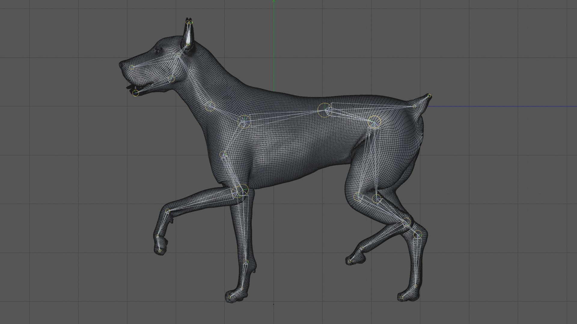 doberman rigged l620 animate 3D model https://p.turbosquid.com/ts-thumb/Jf/sKstWX/KOP0okRQ/52/png/1584059770/1920x1080/fit_q87/1834596fc865271c770689e7f90e4d5a70a07003/52.jpg