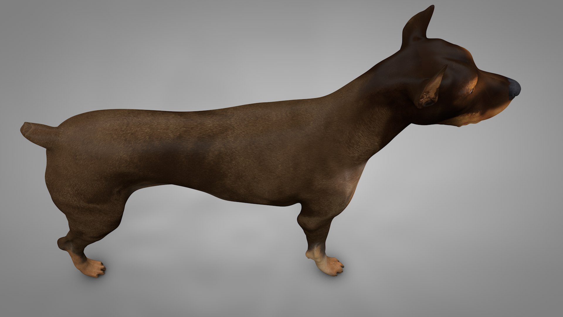 doberman rigged l620 animate 3D model https://p.turbosquid.com/ts-thumb/Jf/sKstWX/KRIn0YJ5/5/png/1584403182/1920x1080/fit_q87/99df5e1ec3930e56401bc5074b1c9639978a8b30/5.jpg