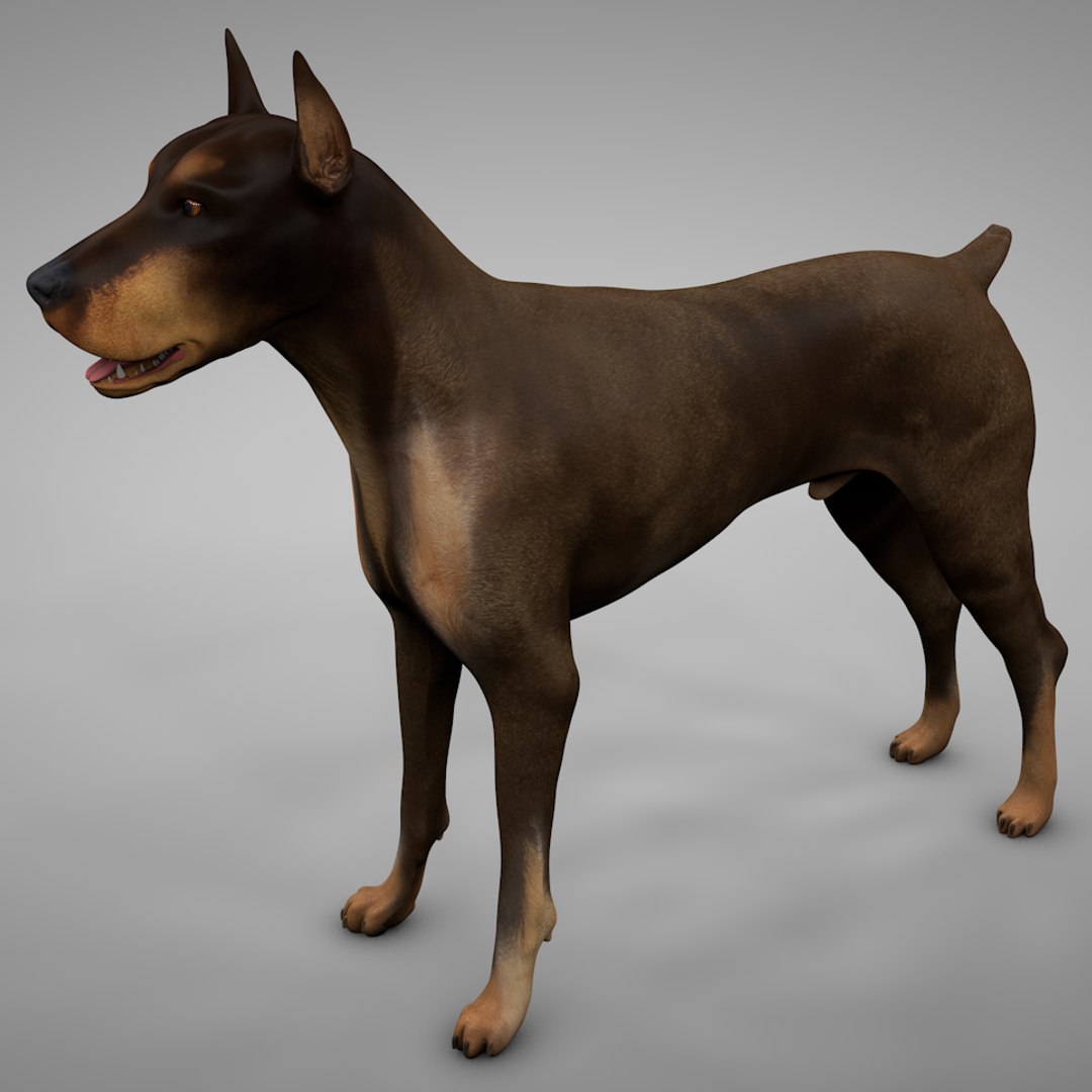 doberman rigged l620 animate 3D model https://p.turbosquid.com/ts-thumb/Jf/sKstWX/SiLjIqij/1st/png/1584402467/1920x1080/fit_q87/eedefff8d0ba2084ee5642bac738e8406570b29d/1st.jpg