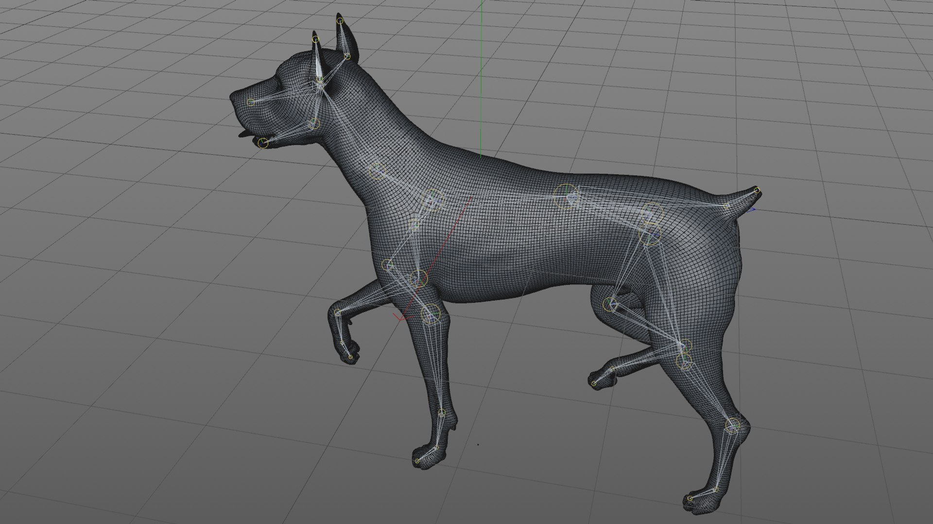 doberman rigged l620 animate 3D model https://p.turbosquid.com/ts-thumb/Jf/sKstWX/SxFeeKXW/53/png/1584059770/1920x1080/fit_q87/241cba3a7fb5a1475e5159d50cc4e8ca0c9a9678/53.jpg