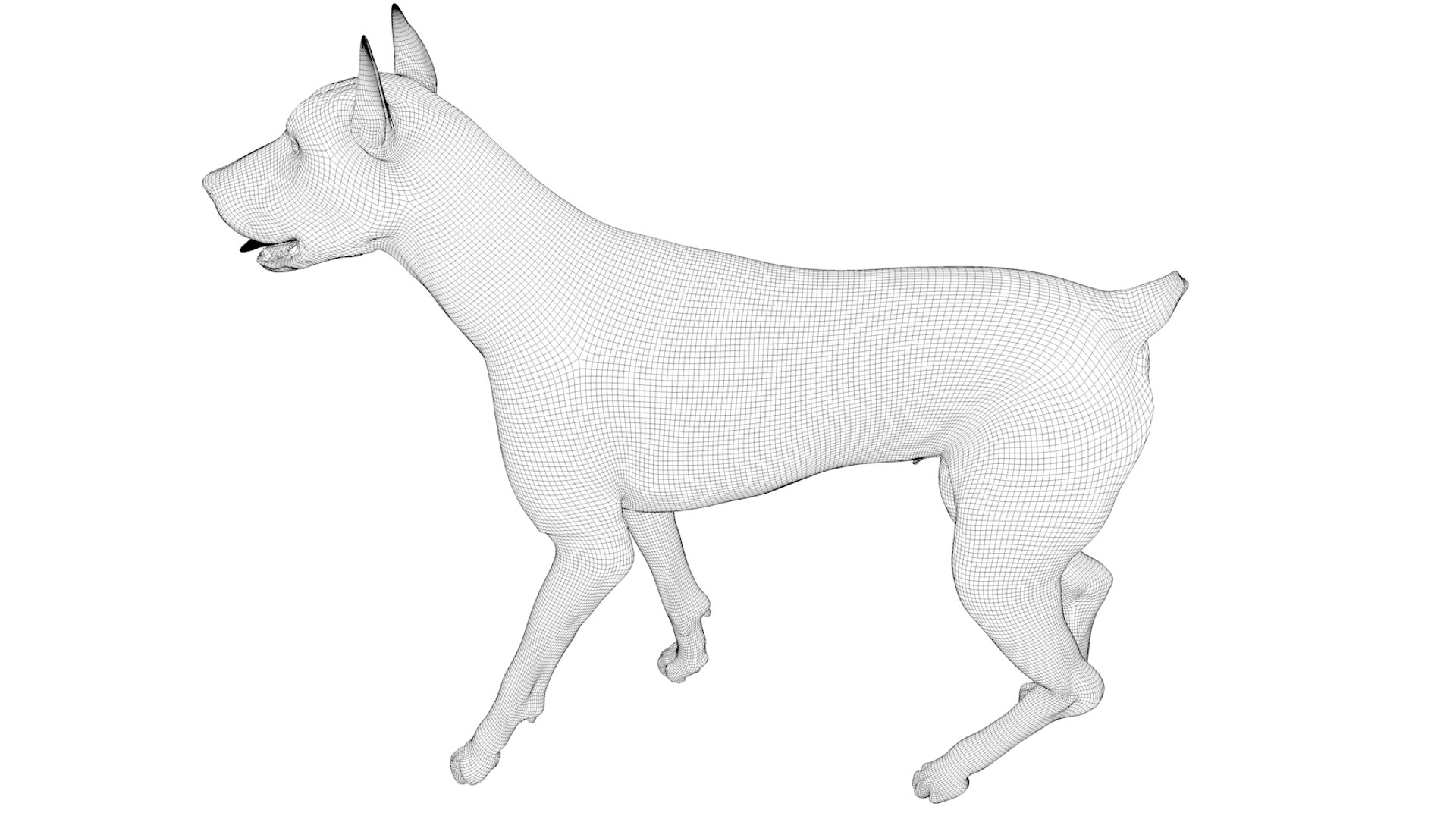 doberman rigged l620 animate 3D model https://p.turbosquid.com/ts-thumb/Jf/sKstWX/WnXRjxQh/94/png/1584059771/1920x1080/fit_q87/459a64798215e2d9ba4033c17f4c30806f81316b/94.jpg
