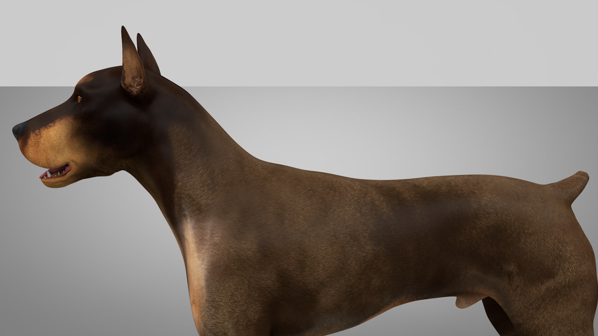 doberman rigged l620 animate 3D model https://p.turbosquid.com/ts-thumb/Jf/sKstWX/X3y1XyaG/8/png/1584403182/1920x1080/fit_q87/01ec5ee0b8e22c7a0483da1cc8a07492000b2bbb/8.jpg