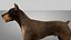 Doberman Rigged L620