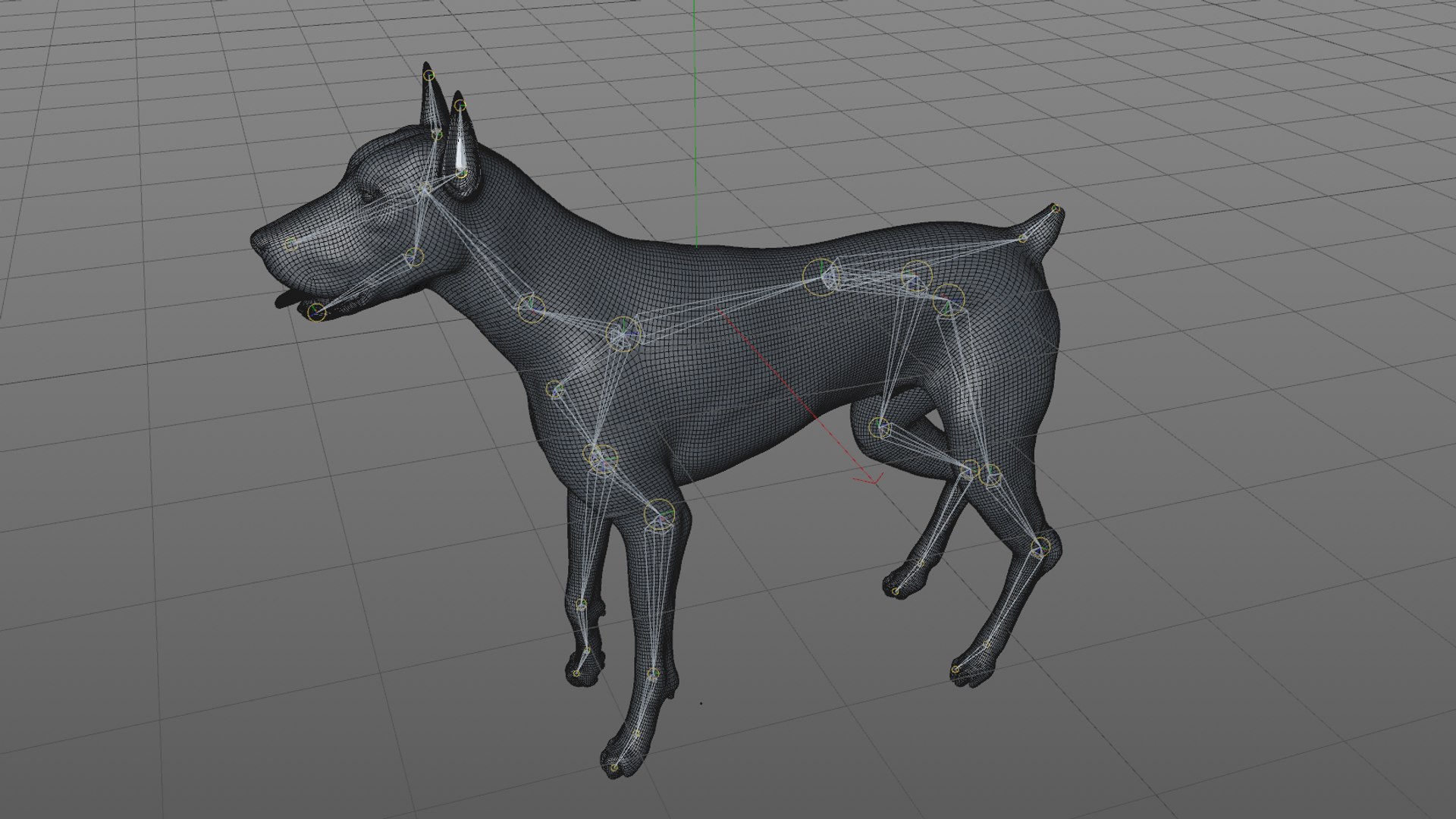 doberman rigged l620 animate 3D model https://p.turbosquid.com/ts-thumb/Jf/sKstWX/aHYFtFeu/55/png/1584059771/1920x1080/fit_q87/2e6d5557152dfffd7dee1349f2f71b4c692ec168/55.jpg