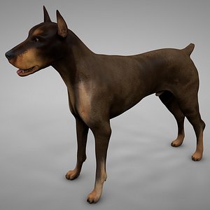 doberman rigged l620 animate 3D model