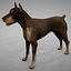 Doberman Rigged L620