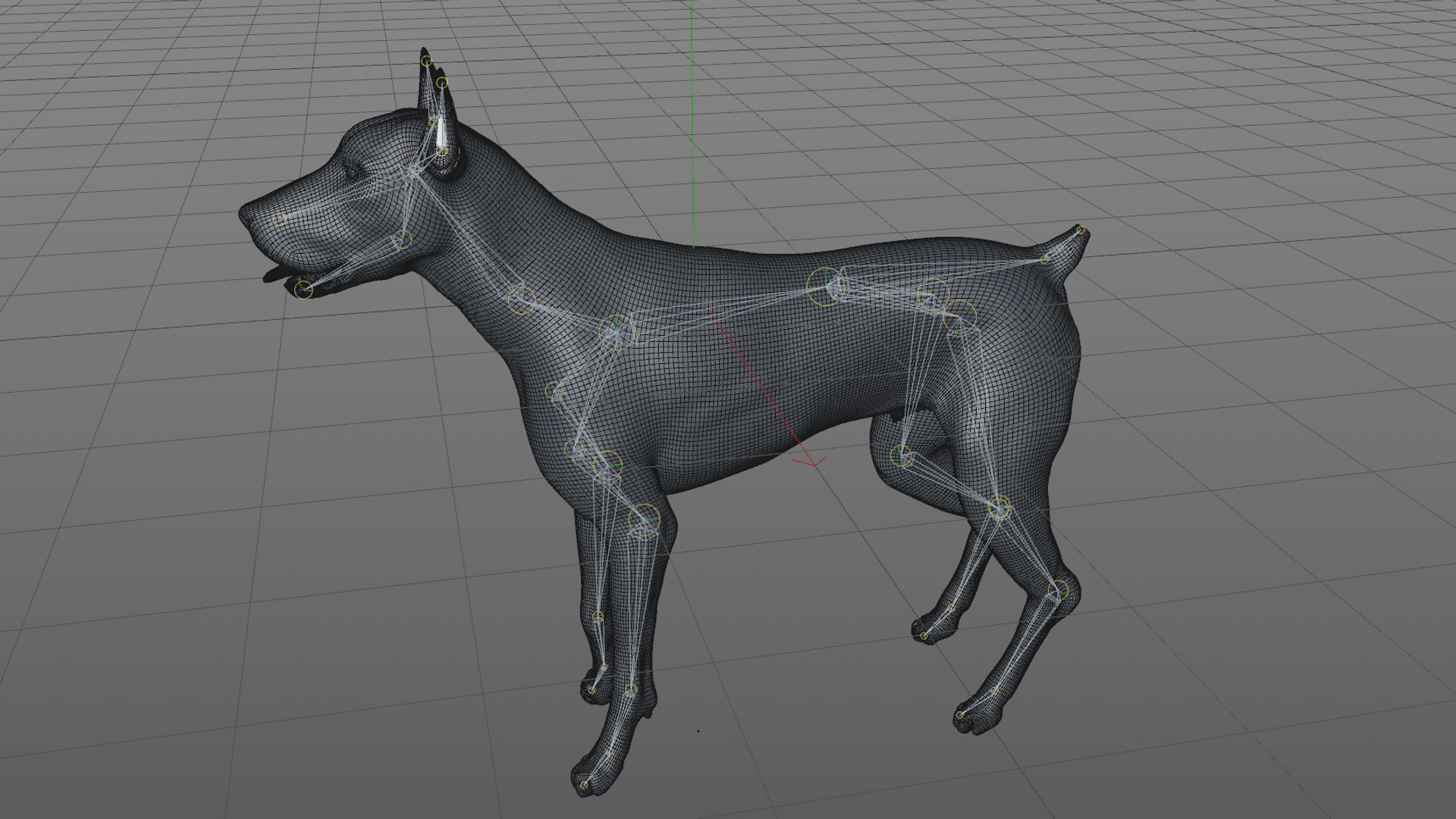 doberman rigged l620 animate 3D model https://p.turbosquid.com/ts-thumb/Jf/sKstWX/epFeLk0z/68/png/1584059771/1920x1080/fit_q87/4fdf724f9a0525ff1d42e7220bd06dba5f071ca6/68.jpg