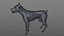 Doberman Rigged L620