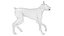 Doberman Rigged L620