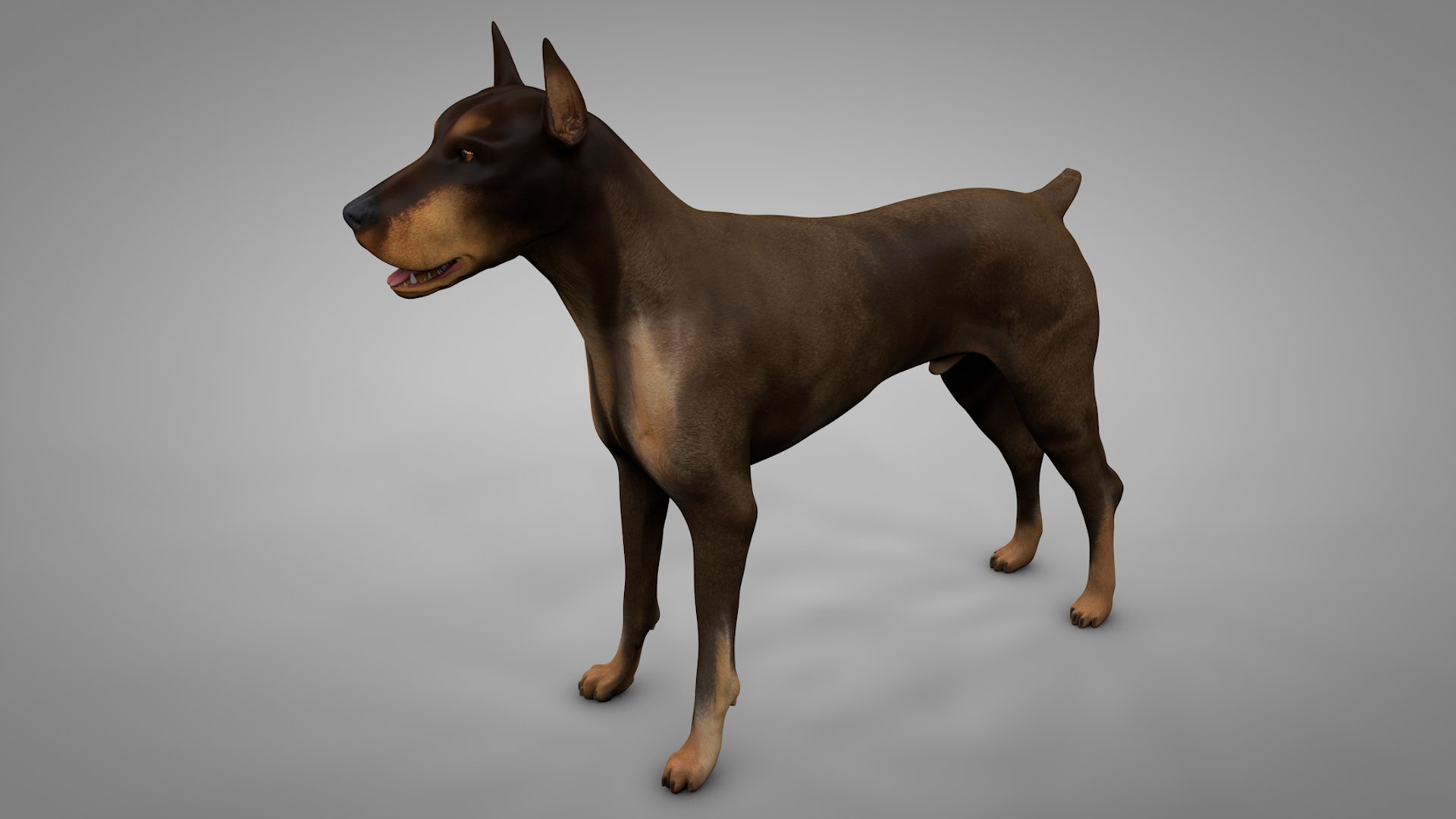 doberman rigged l620 animate 3D model https://p.turbosquid.com/ts-thumb/Jf/sKstWX/mQNB2faW/2nd/png/1584402467/1920x1080/fit_q87/9df5e4b4fbec7e12f01ea373e4b693c46188335c/2nd.jpg