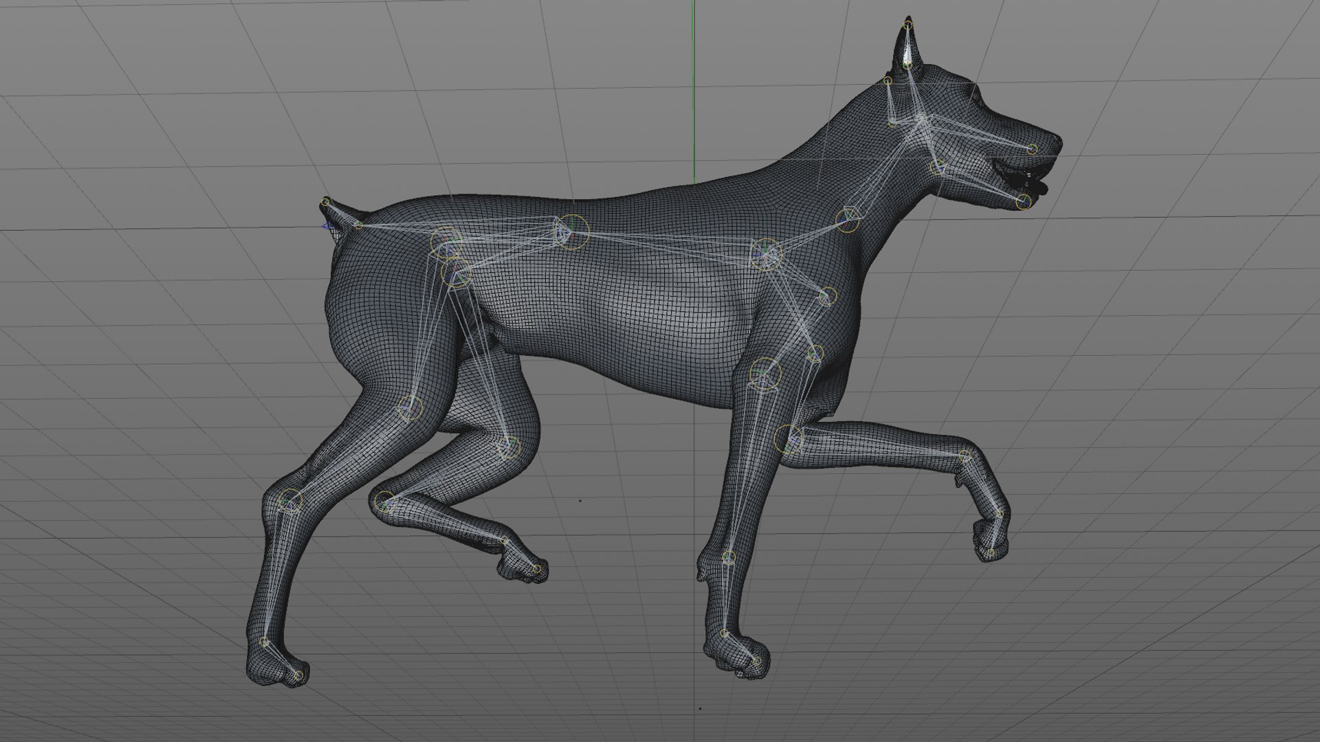 doberman rigged l620 animate 3D model https://p.turbosquid.com/ts-thumb/Jf/sKstWX/of0g9O06/58/png/1584059771/1920x1080/fit_q87/93a49c42ddf5a3d580ef825df5efc808a055f004/58.jpg