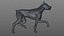 Doberman Rigged L620
