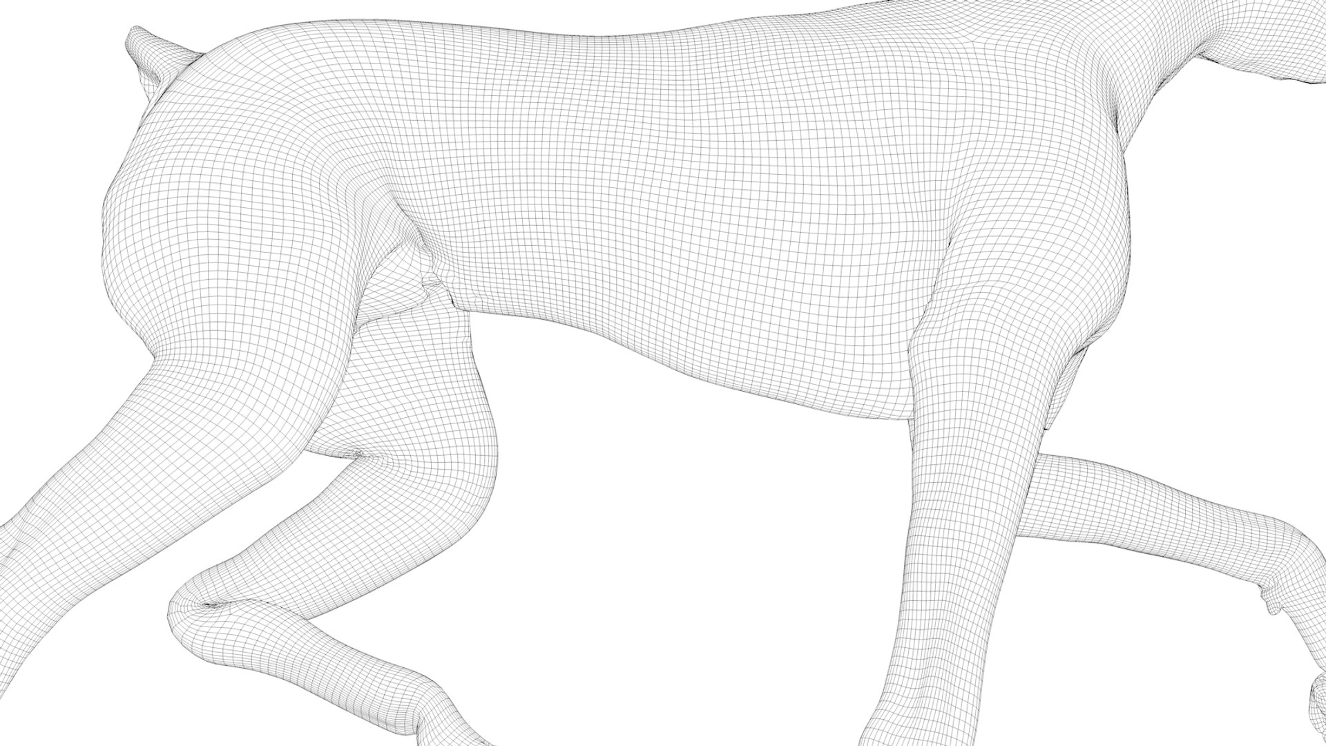 doberman rigged l620 animate 3D model https://p.turbosquid.com/ts-thumb/Jf/sKstWX/qgHDAm84/82/png/1584059771/1920x1080/fit_q87/2a28021f498fb7d76a5b0160f48dca13d66d3939/82.jpg