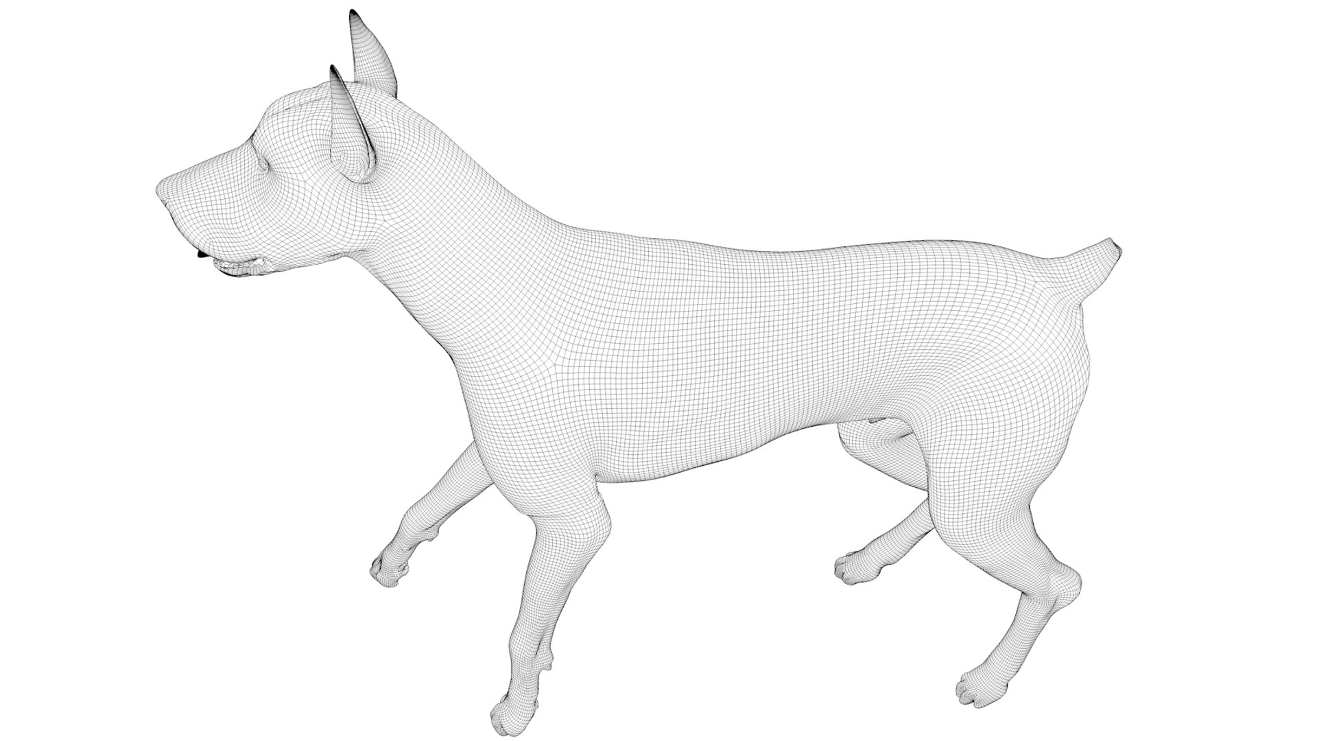 doberman rigged l620 animate 3D model https://p.turbosquid.com/ts-thumb/Jf/sKstWX/uIJfREU3/79/png/1584059771/1920x1080/fit_q87/08ce39d1fe7905bfc5266353235ded7804929f91/79.jpg