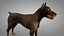 Doberman Rigged L620