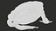Cane Toad Rigged PBR model