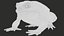Cane Toad Rigged PBR model