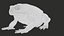 Cane Toad Rigged PBR model