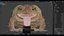 Cane Toad Rigged PBR model